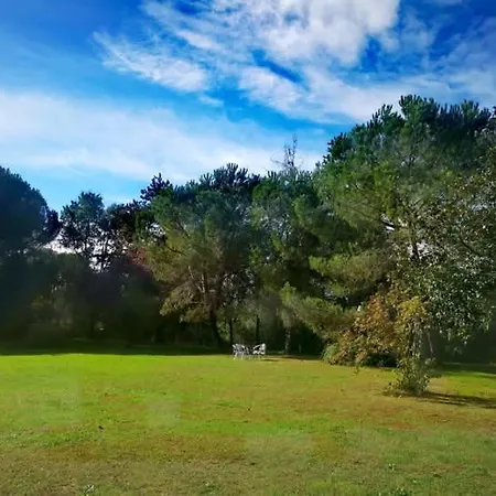 Printemps Quatre Saisons *