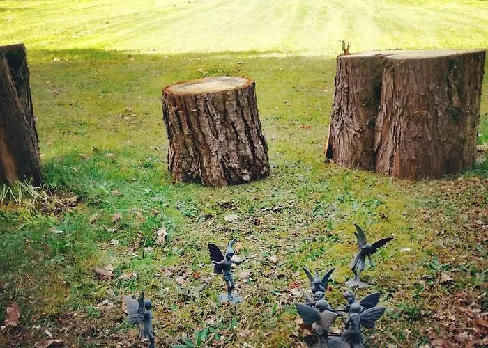 Printemps Quatre Saisons شقة برجراك